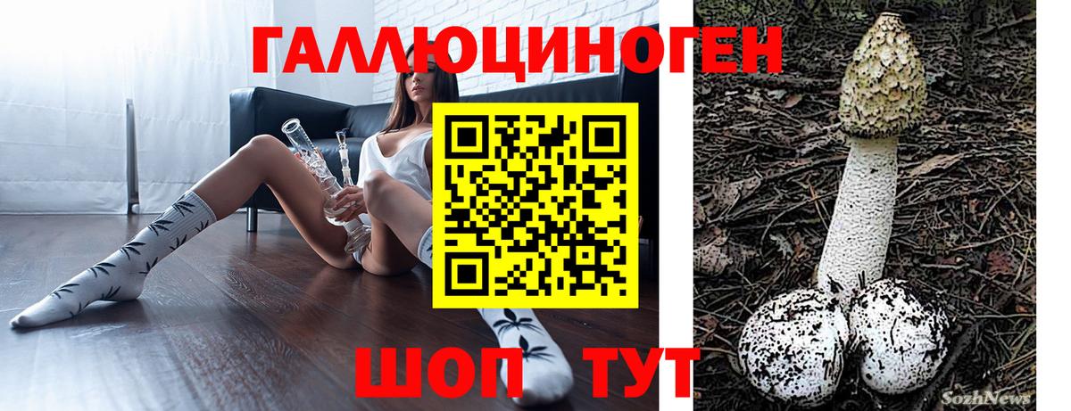 Псилоцибиновые грибы Cubensis Знаменск